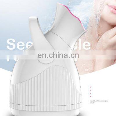 Beauty Personal Care OEM 280W 65ML Portable Vaporizer Face Steamer Nano Facial Steamer