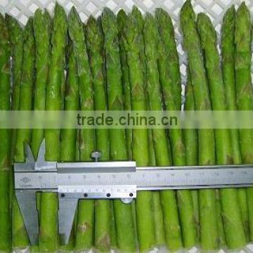 GOOD QUALITY WHOLE TYPE IQF FROZEN GREEN ASPARAGUS