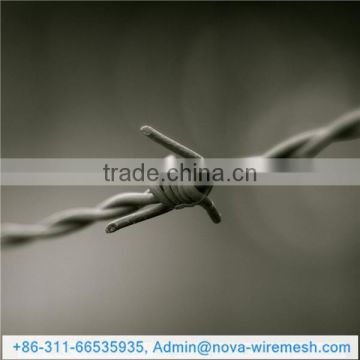 Barbed wire / High quality barbed wire / Security barbed wire