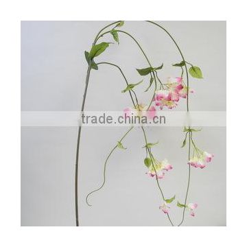 28049 indoor decoration plant looks power, nobility, luxury flowers Guangdong reliability supplier sell to YIWU and XIAMEN