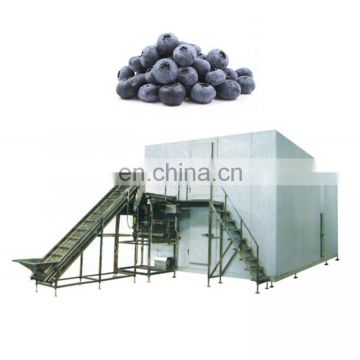IQF china manufacturer used blast freezers for sale frozen french fries making machine
