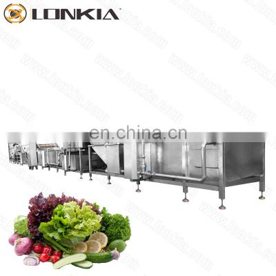 Lonkia Commercial veggie washing processing line|vegetable cutter|bubble washer machine