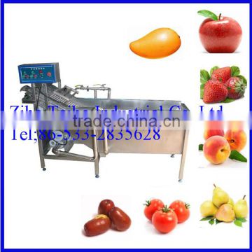 Automatic Industrial Pear Washer Machine