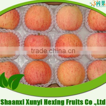 Fresh Apple Different varieties different size with best price
