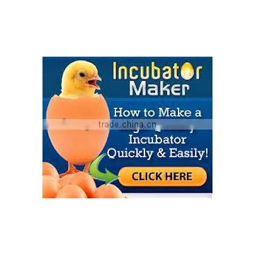 chicken eggs incubators and hatchers