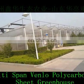 China Greenhouses / greenhouse polycarbonate Low price