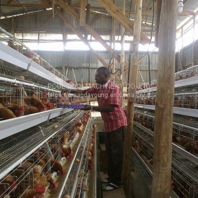 Battery layer chicken cages rearing 10000 layers for poultry farm