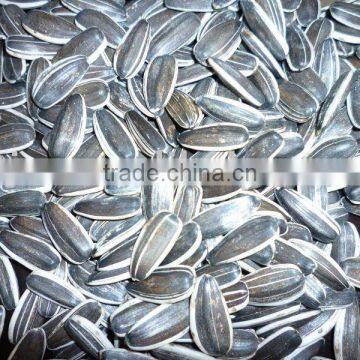 new crop sunflower seeds in shell 5009, 5135, 20/64,22/64, 24/64