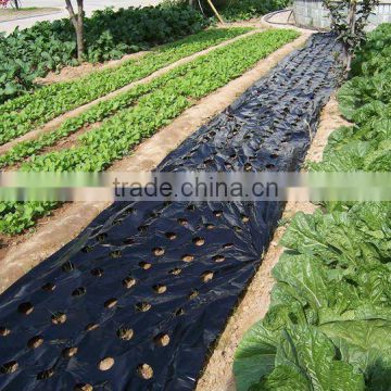 PE Agricultural Mulching Film with holes