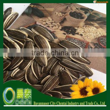 Big Size Striped Edible Sunflower Seeds Wholesale In Shell