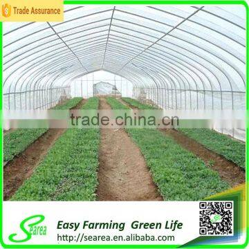 Economical plastic green house for agriculture