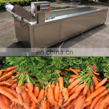 Multifunctional ozone sterilization fruit washing machine in China