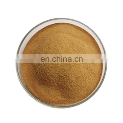 Factory Supply High Quality Chicoric Acid 2% Echinacea Purpurea Extract