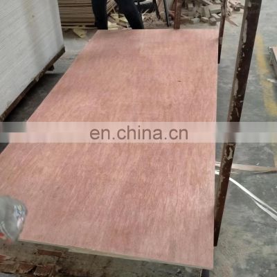 18mm Eucalyptus Commercial Plywood Furniture Plywood 18mm Packing Plywood