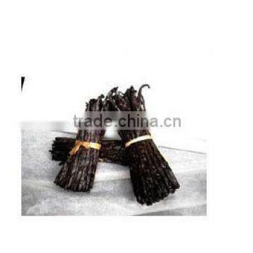 Hot sale vanilla beans wholesale