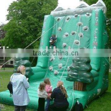 inflatable climbing wall (custom design low price)
