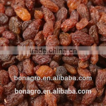 Red sultana raisin,2014 new crop