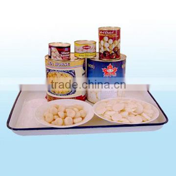health food canned water chestnut products made in china