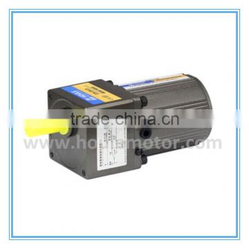 HOULE 6W less consumption induction gear motor with gearbox