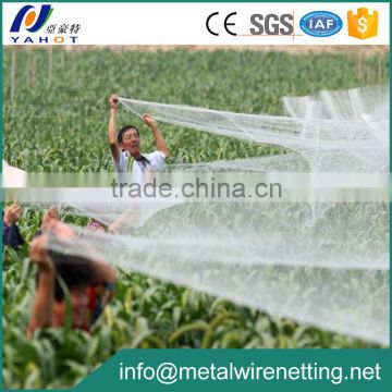 Cheap Agricultural Green PP Plants Protection Bird Netting