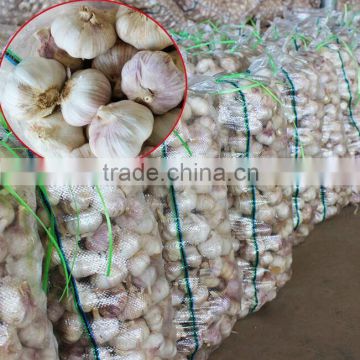 Fresh New Garlic in different Packages ( for South America)