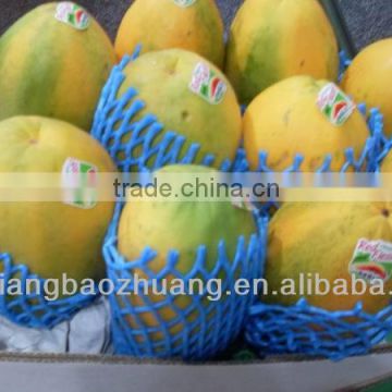 Fruit Protection Sleeve Net /Tapered packaging net