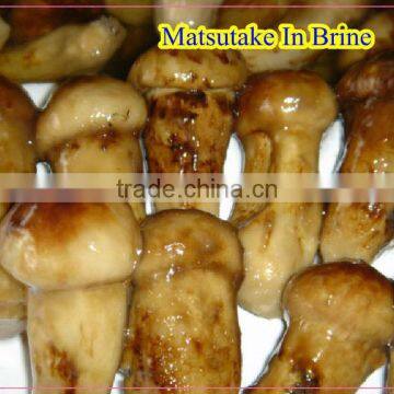 brined wild top quality hot sale matsutake