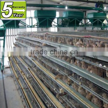 high quality quail cage farming equipment