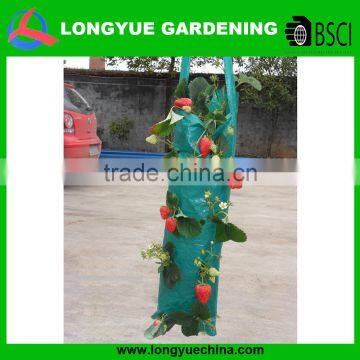 hanging strawberry growing bags