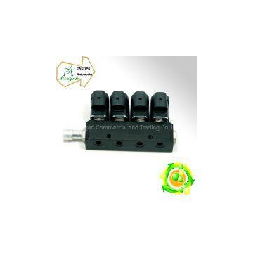 CNG LPG injection rail for sequential injection system