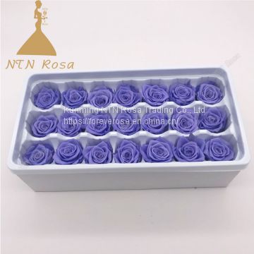 Top Festival Party Decoration Preserved Flower Supplier