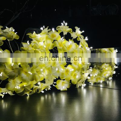 Handmade 66L Battery Powered Plumeria Rubra Flower String Lights/Fairy/Lamp