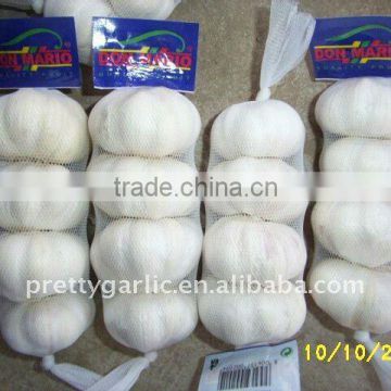 chinese fresh pure white garlic pre-packed