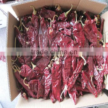Chinese red chilli