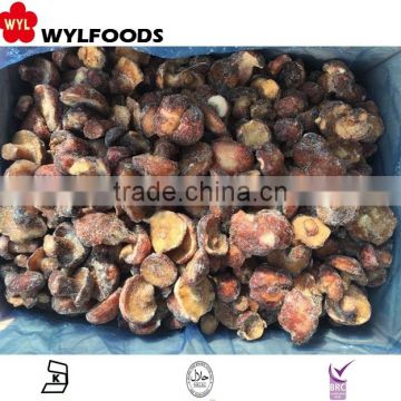 iqf price for frozen wild mushrooms - Suillus granulatus