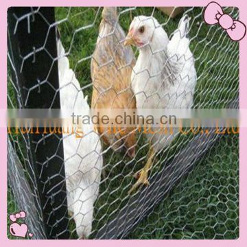 Chicken coop hexagonal wire mesh -Manufacturer&Exporter-Huihuang factory reliable supplier