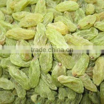 Thompson Seedless sweet Green raisins