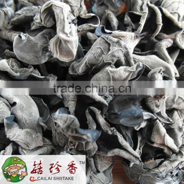 Premium dried black fungus agaric wood ear mushroom wholesale