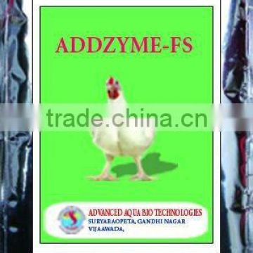 Multi enzyme Feed Supplement for Poultry chicken