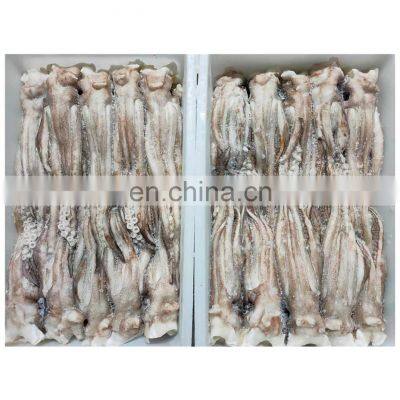 Good price frozen illex squid tentacles glazing