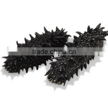 Highest quality Hokkaido dried sea cucumber seafood wholesale , bulk order available