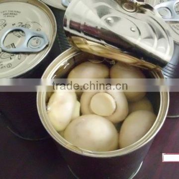 CANNED MUSHROOMS WITH TOP QUALITY AND TASTE