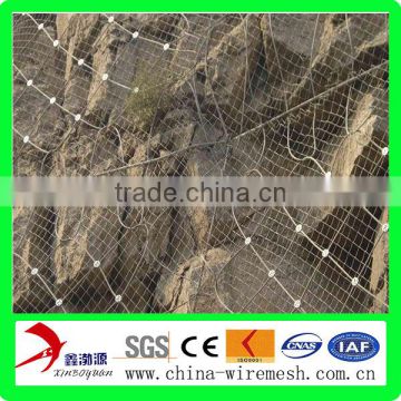 china anping active wire mesh for slope protection