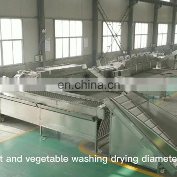 Potato Onion Washing Drying Waxing Size Grading Processing Line
