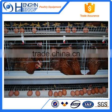 Hot selling a frame chicken layer cage with high quality