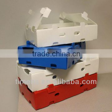 folding corrugated plastic fruit box