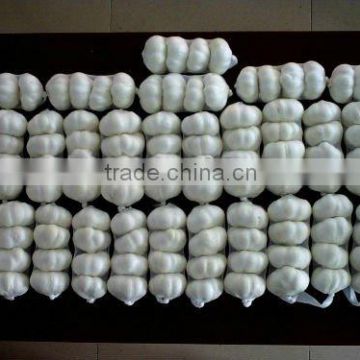 Chinese normal White Garlic