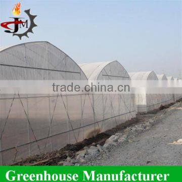 Multi-span hydroponic tunnel film greenhouse