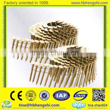 Direct factory wire welded coil common nails with rich experience