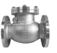 AIP swing check valve